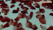 Pavê de leite em pó com morango