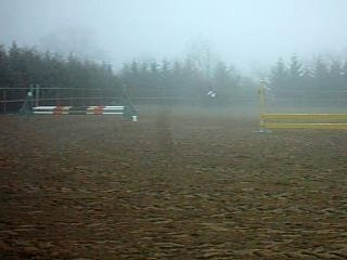 Querido Et Mélanie [Saint Laurent De Mure]