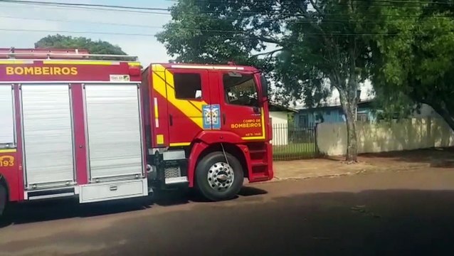 Cachorro cai em fossa desativada e bombeiros capturam animal de 12 metros de profundidade