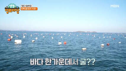 오늘도 임 반장이 떴다! 파도를 가르고 도착한 이곳은 과연 어디~?