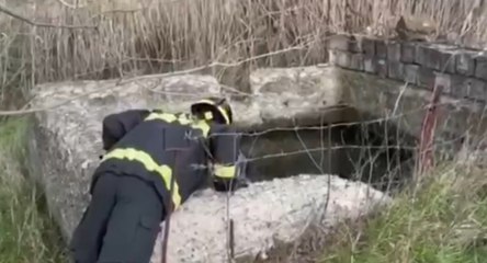 Download Video: Albano di Lucania (PZ) - Scivola in un canalone, ritrovato anziano disperso (07.01.22)