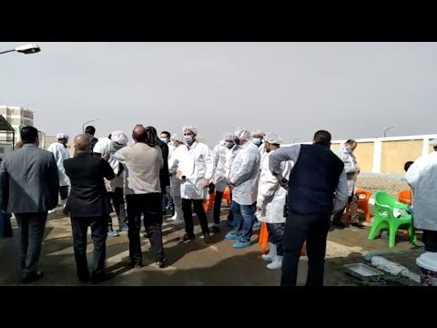 وزير الزراعة ومحافظ الفيوم يتفقدان مزرعة البيض الخالي من المسببات المرضية في كوم أوشيم