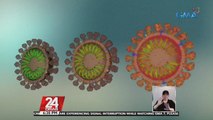 DOH, aminadong may delay sa paglabas ng COVID test results dahil pati Lab personnel nagkakasakit na rin | 24 Oras