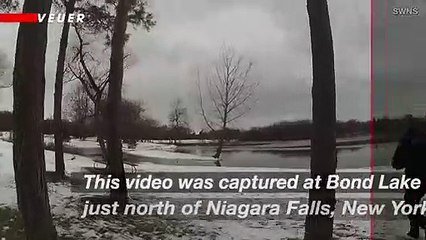 After a Dog Falls Through Ice, New York Police Officer Risks Life to Save It