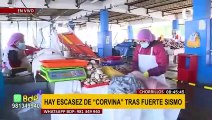 Sismo en Lima también afectó a pescadores: movimiento alejó peces de las costas