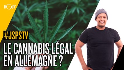 Je sais pas si t'as vu... Le cannabis légal en Allemagne ?