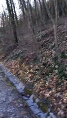 Fort de La Bastille  Grenoble 2022  #France (9)