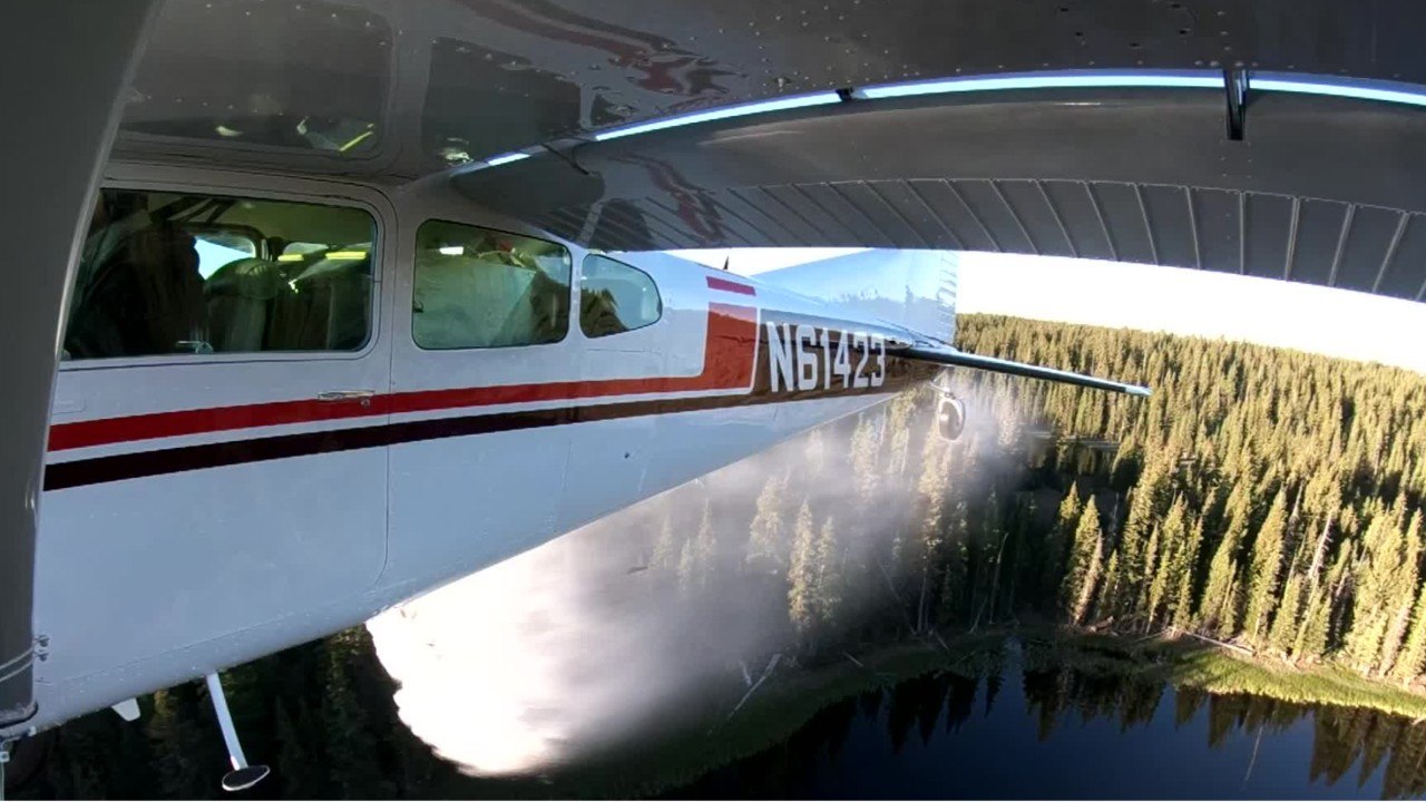 Environnement : des poissons largués depuis des avions pour repeupler des lacs aux Etats-Unis