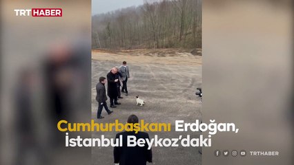 Cumhurbaşkanı Erdoğan'dan hayvan barınağına ziyaret