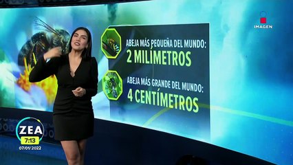 Calendario 2022: Estos son los puentes y descansos