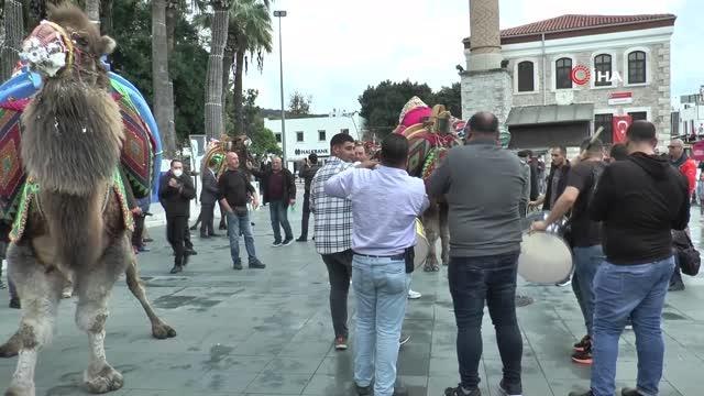 Develer Bodrum sokaklarında dolaştı, develeri gören telefona sarıldı