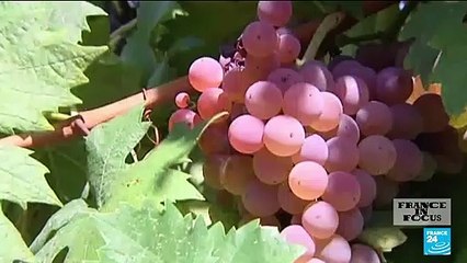 How lobbies weigh on alcoholism prevention efforts in France