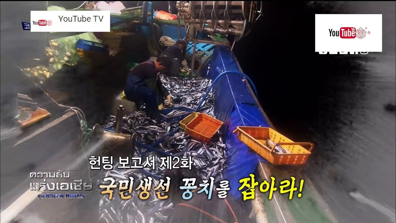 ความลับแห่งเอเชีย ชุด Korea Hunter ตอน ปลาแมคเคอเรล