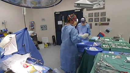 Restrictions restored in NSW as case numbers surge