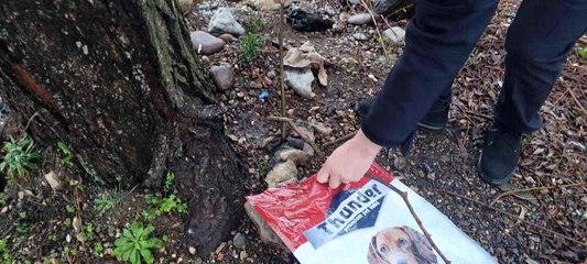 Son dakika haber: Boğularak öldürülen kedi deniz kenarına atıldı