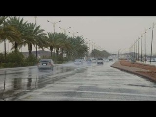 عودة الشبورة واستمرار الأمطار.. الأرصاد تعلن الظواهر الجوية اليوم
