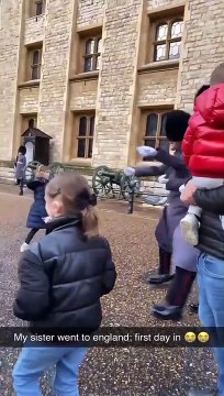 Un garde royale renverse un enfant (Londres)