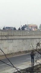 Modi supporters with BJP flags