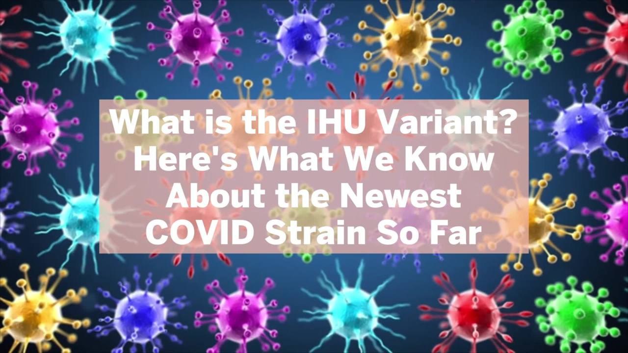 What is the IHU Variant? Here's What We Know About the Newest COVID Strain So Far