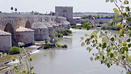 Historias del agua - Tráiler