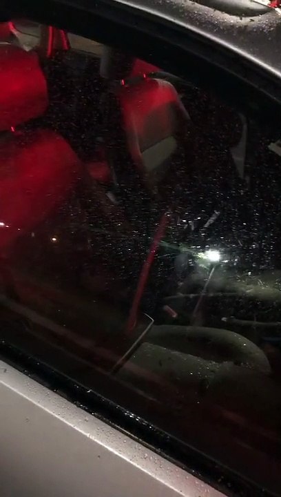 Árvore cai em cima de carro em movimento no Guará