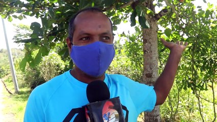 LIVING BETWEEN TWO LANDSLIPS