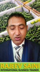 sourcing of green chilies