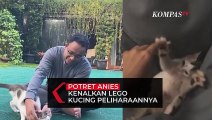 Potret Anies Kenalkan Lego Kucing Peliharaannya ke Netizen