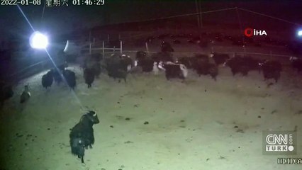 Çin'i vuran 6.9'luk deprem anı kamerada