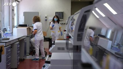 Omicron: ecco il nuovo identikit