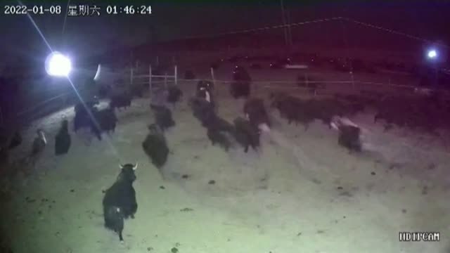 Registran un terremoto de magnitud 6.9 sin víctimas ni daños en el noroeste de China