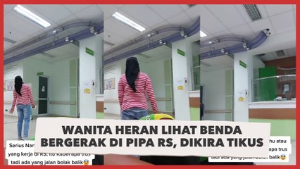 Wanita Heran Lihat Benda Bergerak di Pipa RS, Dikira Tikus, Ternyata Begini Penjelasannya