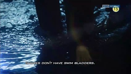 Shark (2013) Saison 1 - Trailer 1 (EN)