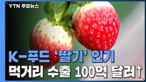 K-푸드 '신데렐라' 딸기...먹거리 수출 100억 달러 첫 돌파 / YTN