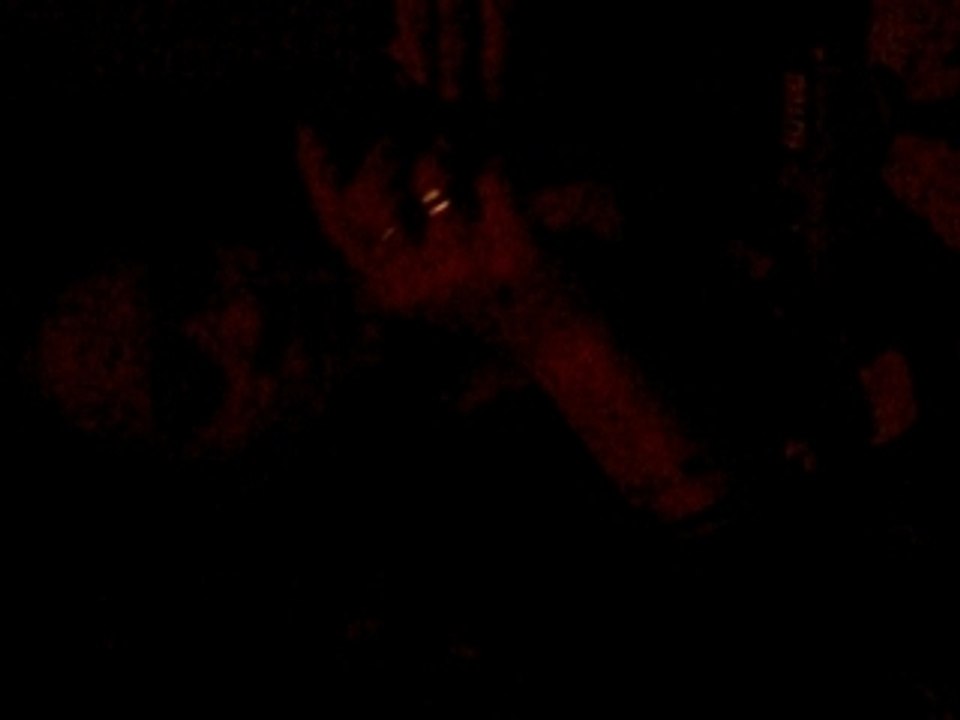 Photo 005