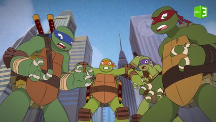 إختطاف غامض لسلاحف النينجا