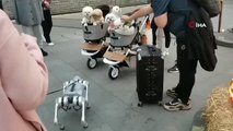 Çin'de yürüyüşe çıkarılan robot köpek görenleri şaşırttı