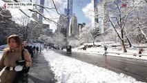 تصاویری از چشم‌انداز زمستانی پارک مرکزی نیویورک پس از بارش برف