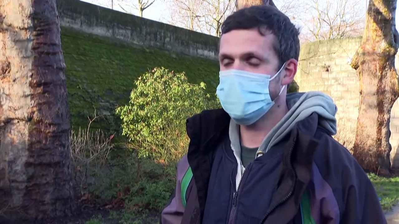 Paris und London recyceln Weihnachtsbäume