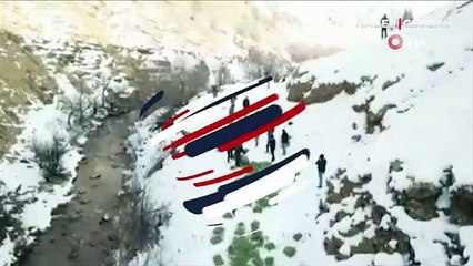 Tunceli'de dağ keçileri doğaya bırakılan yeme akın etti! O anlar kamerada