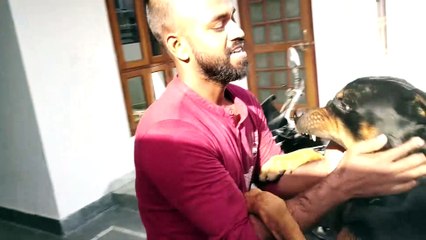 Fighting with Rottweiler  [ Bolt ]