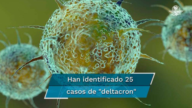 Hallan la variante deltacron en Chipre, una combinación de las variantes delta y ómicron