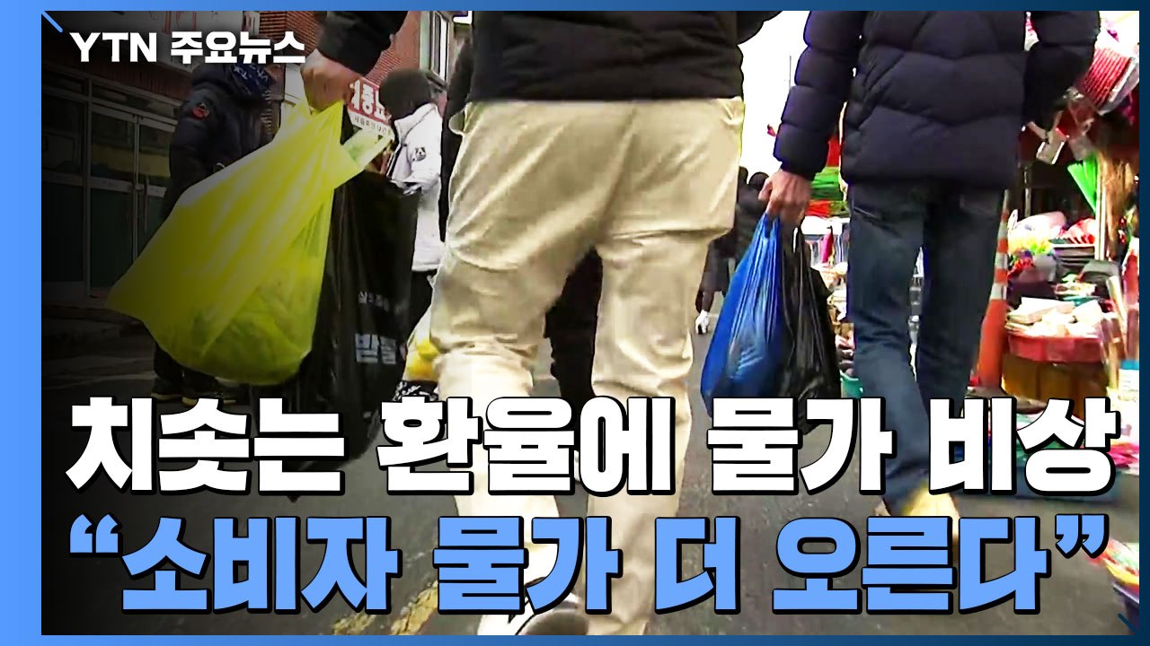 치솟는 환율에 물가 비상..."소비자 물가 더 오른다" / YTN