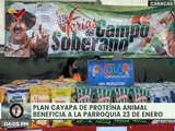 Caracas | Plan Cayapa de Proteína Animal beneficia a las familias de la parroquia 23 de Enero