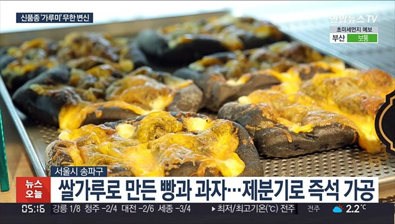 맥주부터 빵까지 '쌀의 무한변신'…신품종 덕택