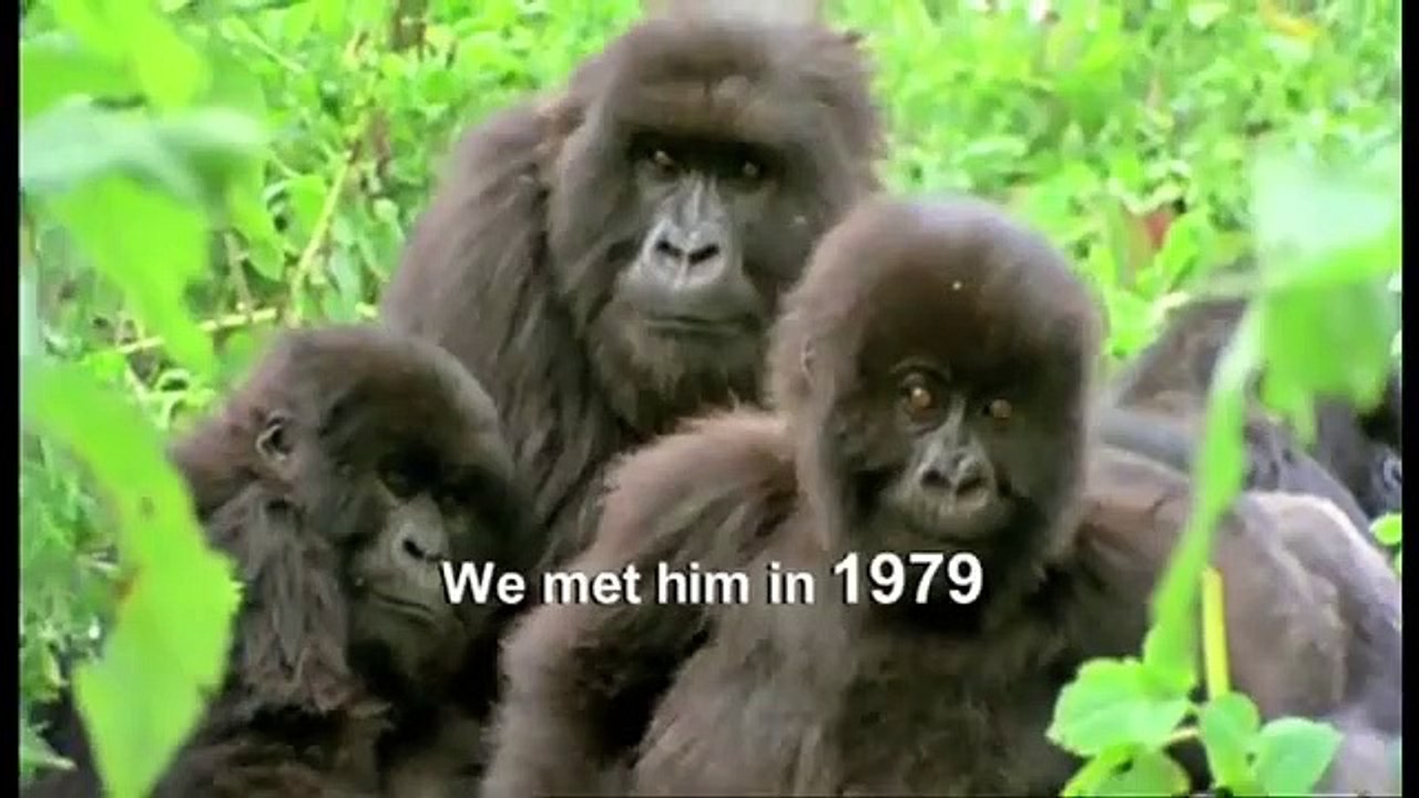 Attenborough: 60 Years in the Wild Saison 1 - Trailer (EN)