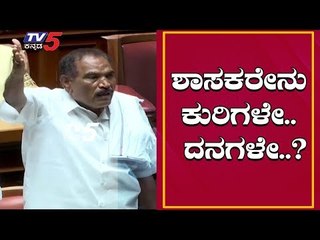 ಶಾಸಕರೇನು ಕುರಿಗಳೇ, ದನಗಳೇ | Shivalinge Gowda | TV5 Kannada