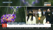 실내에서 만나는 대자연…국내 최대 미디어아트