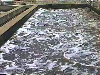 How Wastewater is Treated Part 1 Microbes