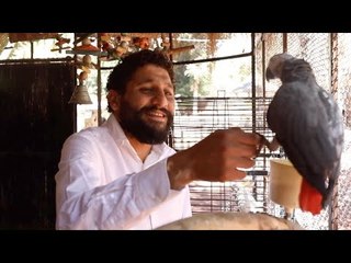 هادي إمبابي يترك الهندسة وينشئ حديقة حيوان مفتوحة بالجيزة